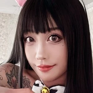 vice_1229