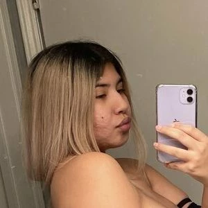 Iya_themodel