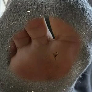 mommabearfeetfetish