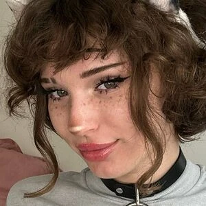 cakedfelinefree
