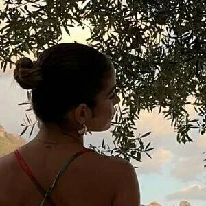 hadleywillow