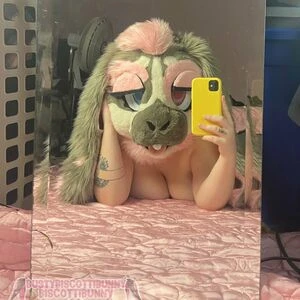 Biscottibunny