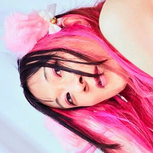 junothecat_fans