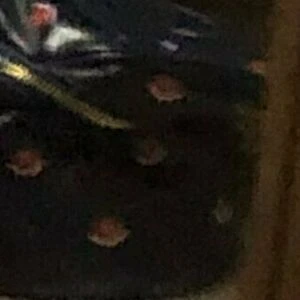 u175562591