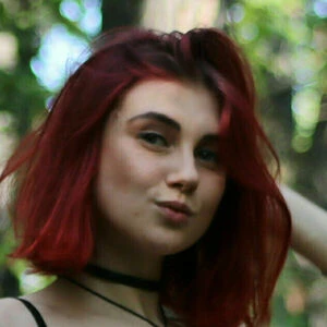 red_rose12
