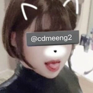 Cdmeeng2
