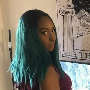Denali Dink