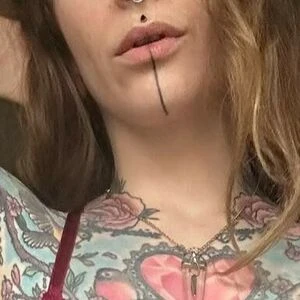 PaintedLadyPoler