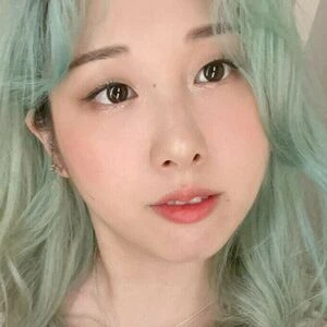 Ryyien