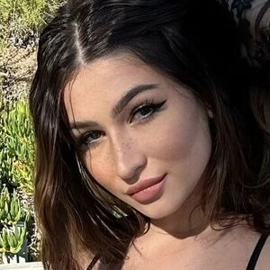 fandybtw