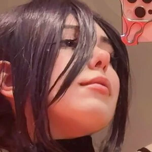 kittew_only