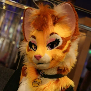 thatyellowkitty