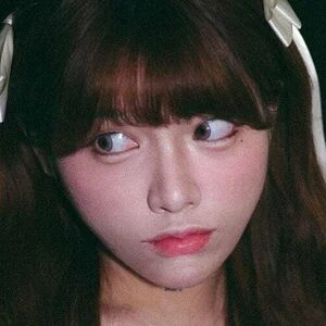 shanewsy