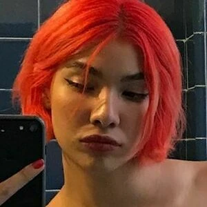 Manguito