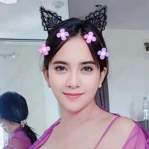 Annis Septi