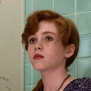 sophialillis
