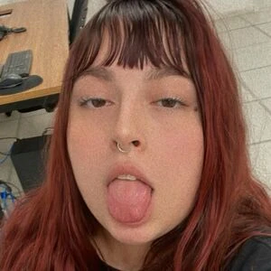dollcatt_
