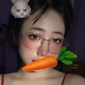 camleethorr