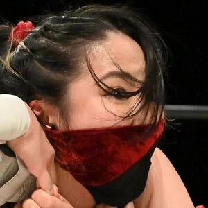 ninja_mari_japan