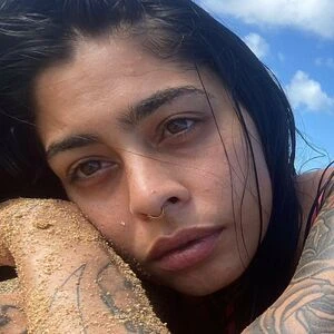 lapalmita_