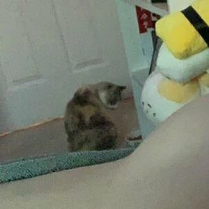 peroliketease