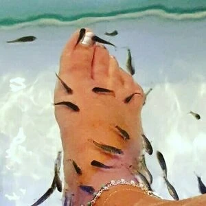 my_little_sexy_feet