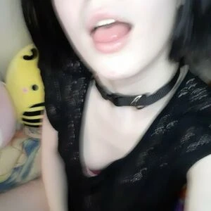 sunnyssunfree