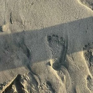 bigthicsoles