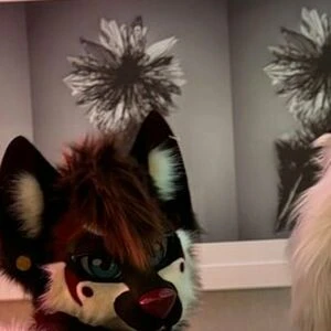 lunarifox