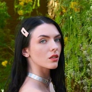 celestinabloomsofficial