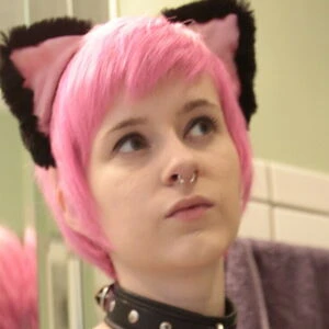 kittycafe
