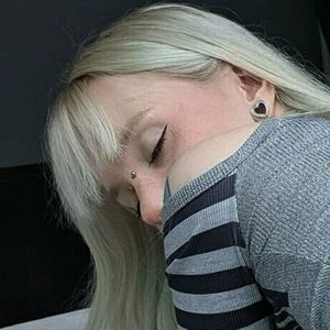 tiikeriankka
