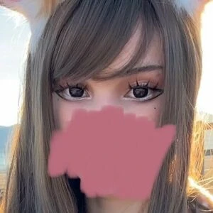 Kittypet