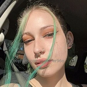 lilapetals