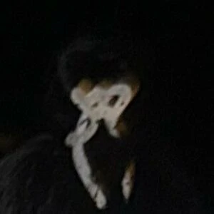 bunnyfox420_free