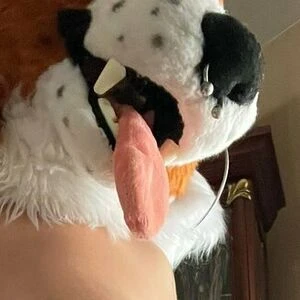 fox_anatomy_lite