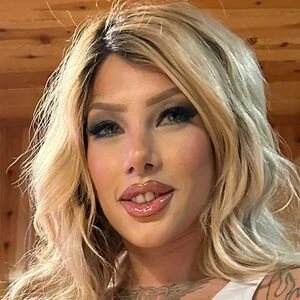 tigeetrans