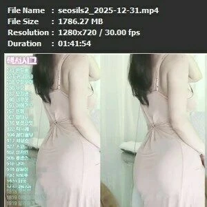 seosils2